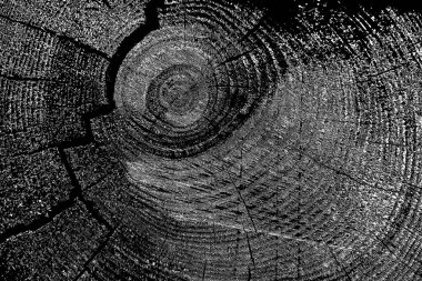 Soyut arkaplan. Monokrom dokusu. Siyah ve beyaz desenli arkaplan. 