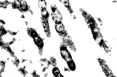 Soyut arkaplan. Monokrom dokusu. Siyah ve beyaz desenli arkaplan. 