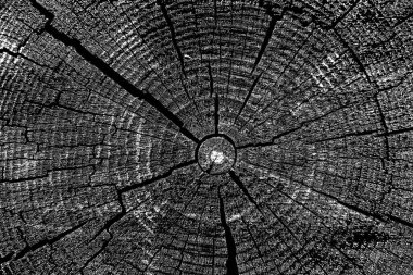 Soyut arkaplan. Monokrom dokusu. Siyah ve beyaz desenli arkaplan. 