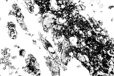 Soyut arkaplan. Monokrom dokusu. Siyah ve beyaz desenli arkaplan. 