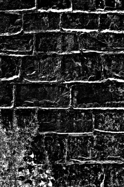 Abstract Background Monochrome Texture Black White Textured Background — Stock Photo, Image