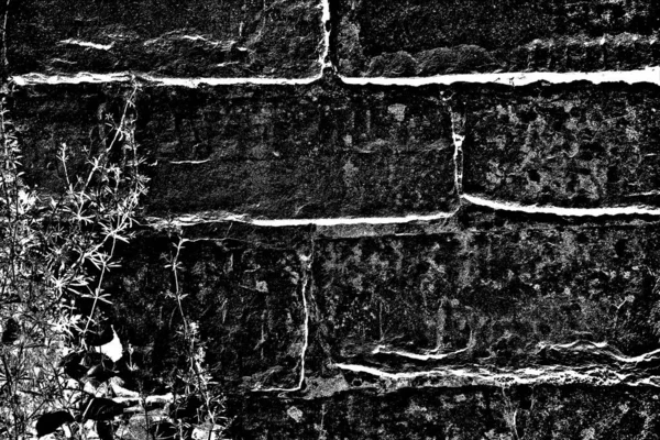 Fondo Abstracto Textura Monocromática Fondo Texturizado Blanco Negro — Foto de Stock