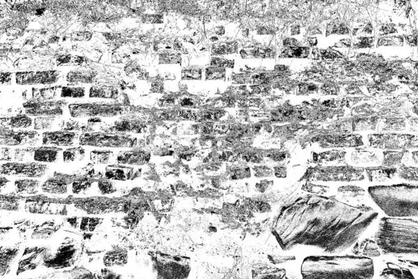 Soyut arkaplan. Monokrom dokusu. Siyah ve beyaz desenli arkaplan. 