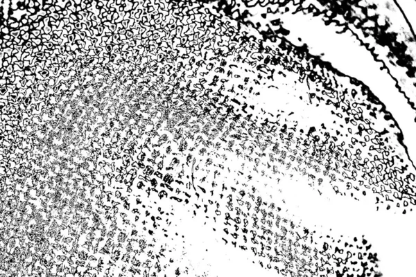 Contexte Abstrait Texture Monochrome Fond Texturé Noir Blanc — Photo