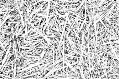 Soyut arkaplan. Monokrom dokusu. Siyah ve beyaz desenli arkaplan. 