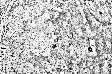 Soyut arkaplan. Monokrom dokusu. Siyah ve beyaz desenli arkaplan. 