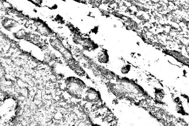 Soyut arkaplan. Monokrom dokusu. Siyah ve beyaz desenli arkaplan. 