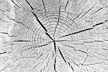 Ahşap desen yakın plan görünümü