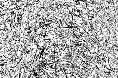 Soyut arkaplan. Monokrom dokusu. Siyah ve beyaz desenli arkaplan. 