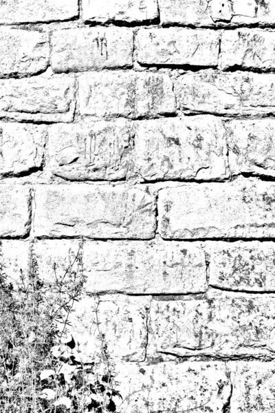 Ancien Fond Texture Mur — Photo