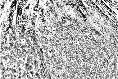 Soyut arkaplan. Monokrom dokusu. Siyah ve beyaz desenli arkaplan. 