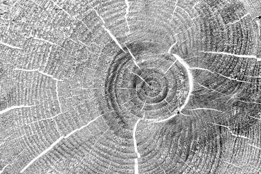 Ahşap desen yakın plan görünümü