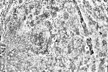 Soyut arkaplan. Monokrom dokusu. Siyah ve beyaz desenli arkaplan. 