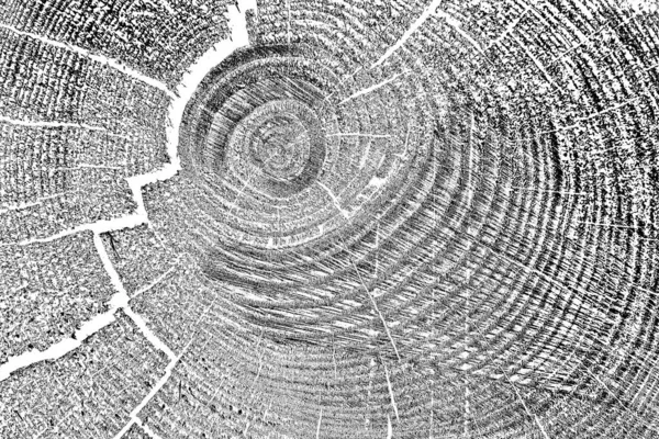 Ahşap desen yakın plan görünümü