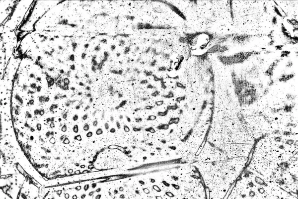 Αφηρημένο Φόντο Μονόχρωμη Υφή Ασπρόμαυρο Ανάγλυφο Φόντο — Φωτογραφία Αρχείου