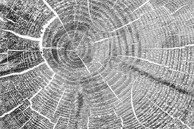 Ahşap desen yakın plan görünümü