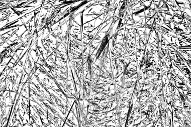 Soyut arkaplan. Monokrom dokusu. Siyah ve beyaz desenli arkaplan. 