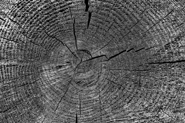 Ahşap desen yakın plan görünümü