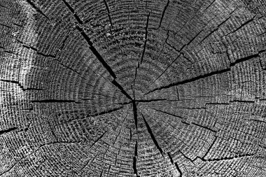 Ahşap desen yakın plan görünümü