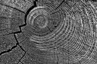 Ahşap desen yakın plan görünümü