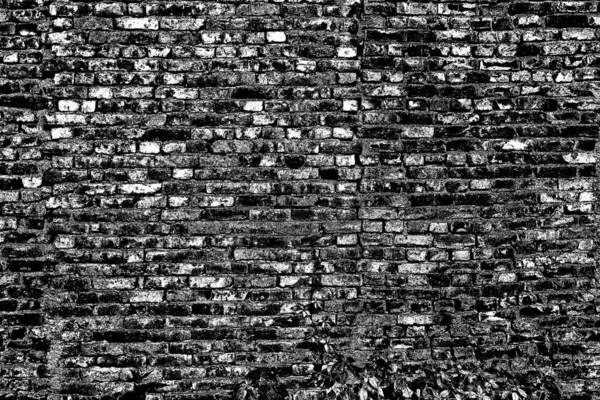 Background Old Vintage Brick Wall — Stock Photo, Image