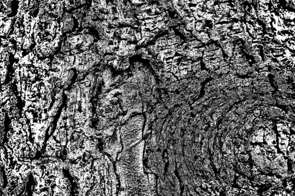 Contexte Abstrait Texture Monochrome Fond Texturé Noir Blanc — Photo