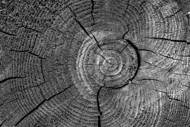 Ahşap desen yakın plan görünümü