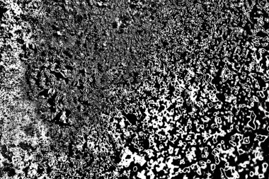 Parmelia saxatilis liken dokusu arkaplanı 