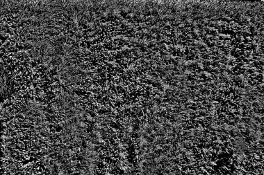 Soyut arkaplan. Monokrom dokusu. Siyah ve beyaz desenli arkaplan. 