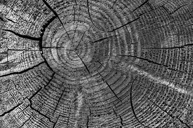 Ahşap desen yakın plan görünümü