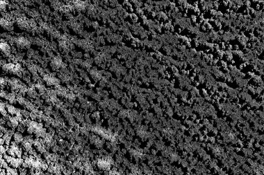 Arkaplan olarak kullanmak için duvarın resmi.