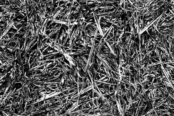 Sfondo Astratto Struttura Monocromatica Bianco Nero Sfondo Strutturato — Foto Stock