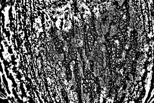 Contexte Abstrait Texture Monochrome Fond Texturé Noir Blanc — Photo