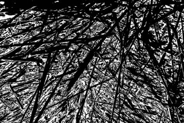 Soyut arkaplan. Monokrom dokusu. Siyah ve beyaz desenli arkaplan.      