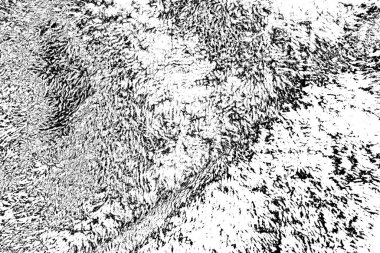 Soyut arkaplan. Monokrom dokusu. Siyah ve beyaz desenli arkaplan.   