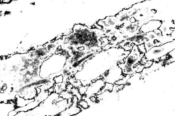 Αφηρημένο Φόντο Μονόχρωμη Υφή Ασπρόμαυρο Ανάγλυφο Φόντο — Φωτογραφία Αρχείου