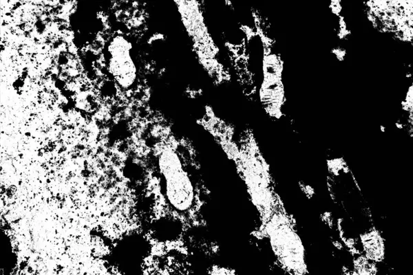 Contexte Abstrait Texture Monochrome Fond Texturé Noir Blanc — Photo