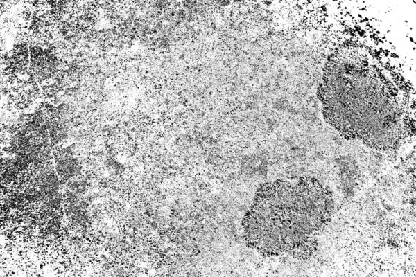 Parmelia Saxatilis Lichen Tekstury Tła — Zdjęcie stockowe