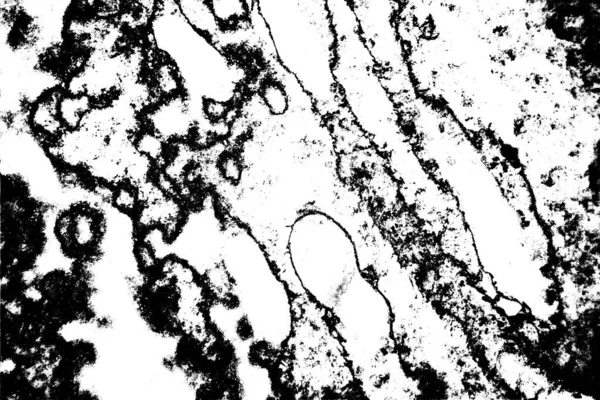 Abstrakt Bakgrund Monokrom Konsistens Svart Och Vit Strukturerad Bakgrund — Stockfoto