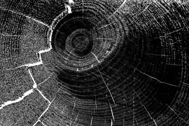 Ahşap desen yakın plan görünümü