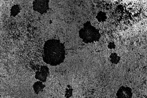 Parmelia Saxatilis Lichene Texture Sfondo — Foto Stock