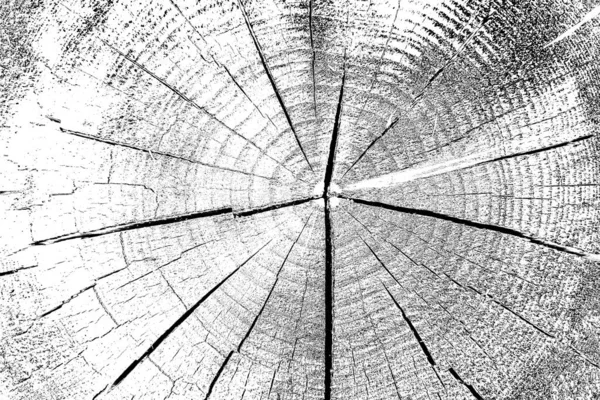 Nahaufnahme Der Holzstruktur — Stockfoto