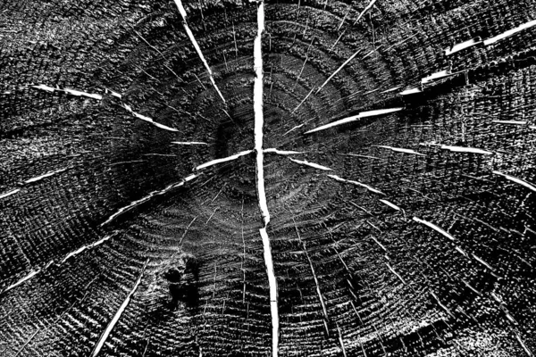 Tampilan Close Tekstur Kayu — Stok Foto