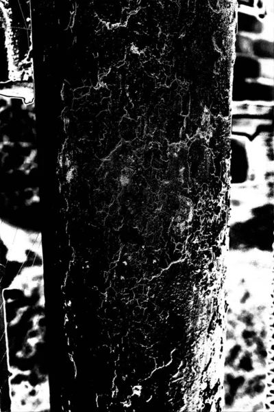 Sfondo Astratto Struttura Monocromatica Bianco Nero Sfondo Strutturato — Foto Stock