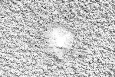 Arkaplan olarak kullanmak için duvarın resmi.