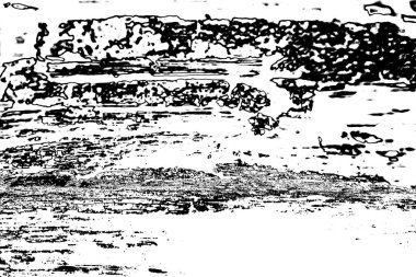 Soyut arkaplan. Monokrom dokusu. Siyah ve beyaz desenli arkaplan.   