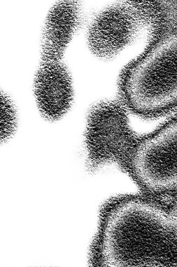 Soyut arkaplan. Monokrom dokusu. Siyah ve beyaz desenli arkaplan.      