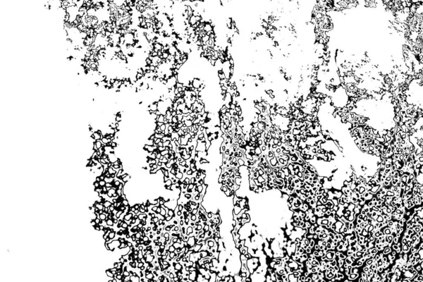 Fondo Abstracto Textura Monocromática Fondo Texturizado Blanco Negro — Foto de Stock