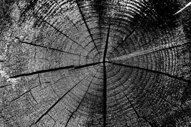 pis ahşap doku arkaplanı