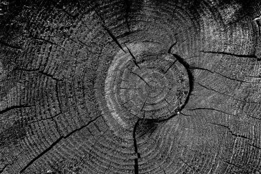 pis ahşap doku arkaplanı